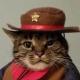 usmcfieldmp's Avatar