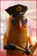 Slavchob's Avatar