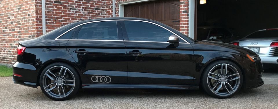 Daily Whip - 15' S3