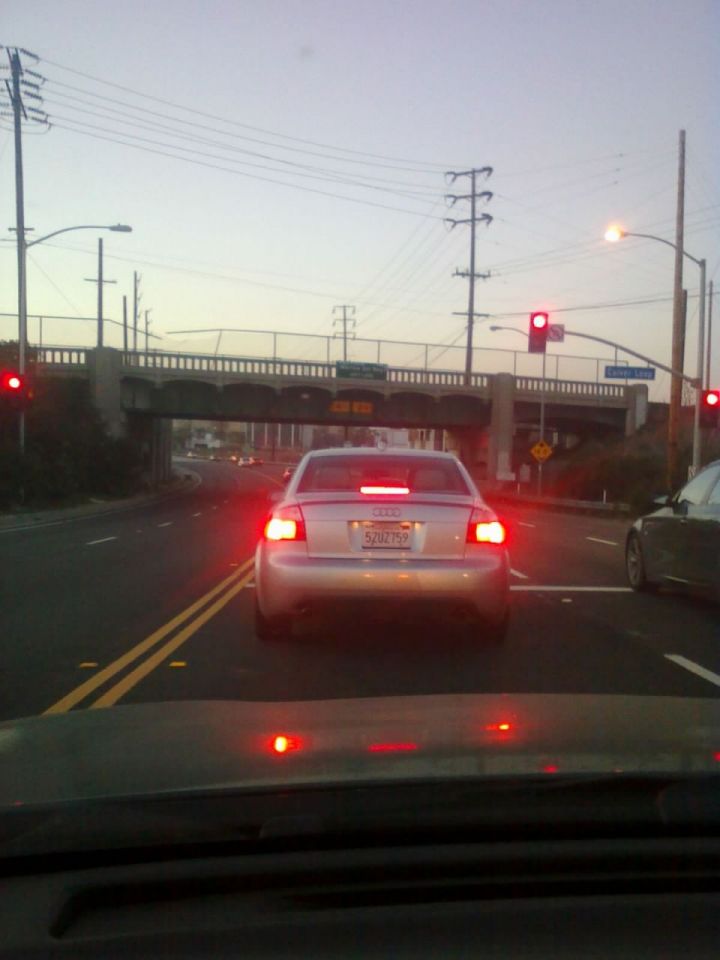 spotted