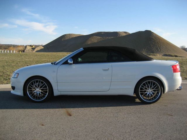 19&quot; Maya STM's