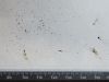 20210806_221359-small.jpg