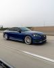 2024_Roller_Large.jpg