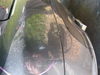 6705IMG_0050.JPG