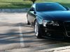 Audi_low41.jpg