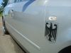 DSC07923.JPG