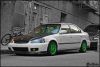IMG_1677copy2.jpg