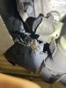 thumbnail_IMG_5931.jpg