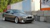 DSC01482.JPG