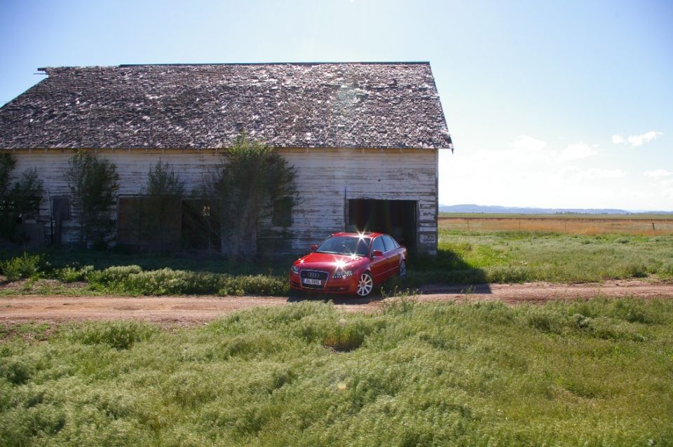 IMGP2983