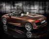 r8spyder_091409_1280_06.jpg