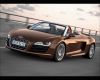 r8spyder_091409_1280_16.jpg