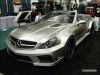 ces2011_010611_800_26.jpg